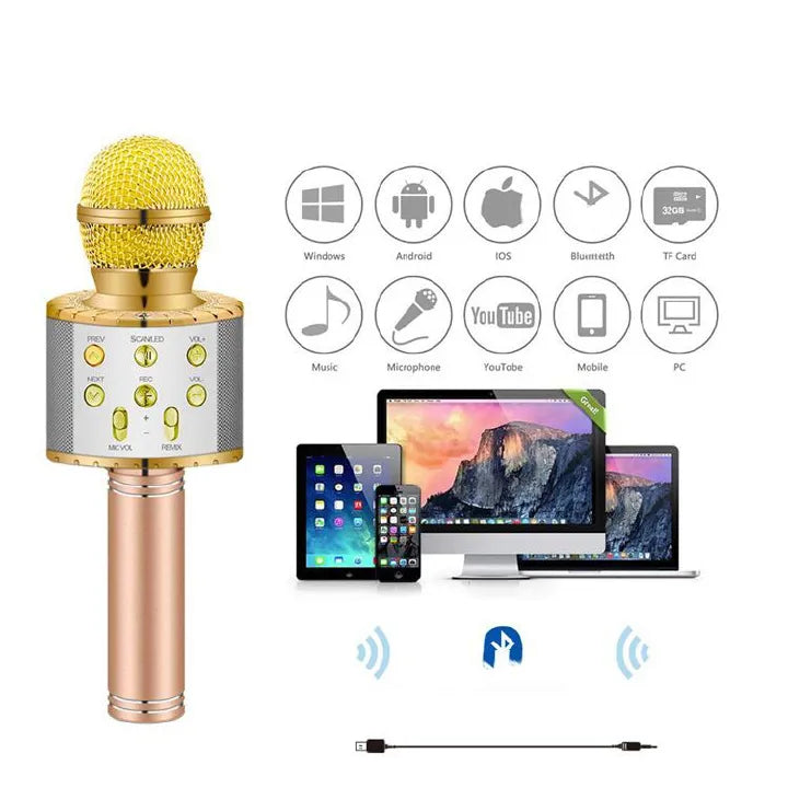 Professional Wireless Karaoke Microphone with LED Lights, Studio, Home KTV