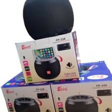 Bluetooth speaker with FM radio FP-228