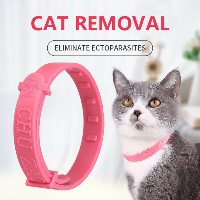 Anti flea collar for fashion cats