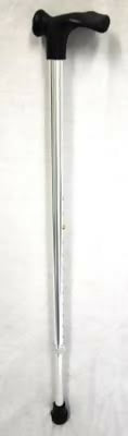 Elderly walking stick with support