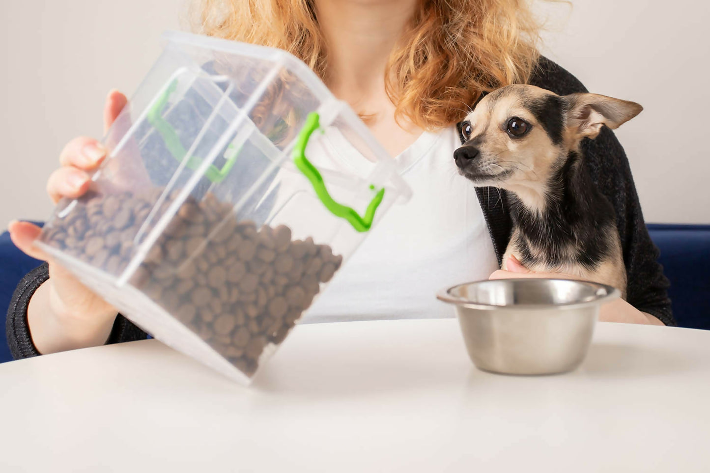 dog food2