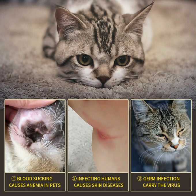 Cat Flea Collar Easy To Repels Fleas & Ticks Safe Effective Tick Collars