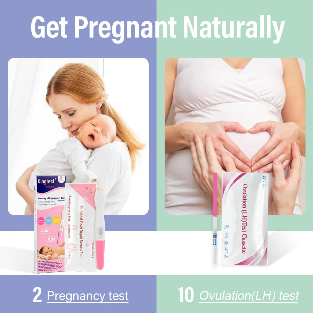 Ovulation & Pregnancy Test Strips Combo Kit 10 LH + 2hCG | Accurate & Easy to Read 5mm Sticks | Pregnancy Tests Early Detection