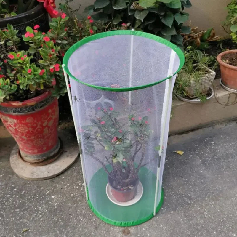 Butterfly Insect Cage Observation Butterflies Habitat Kids Portable Breeding House Visible Insects