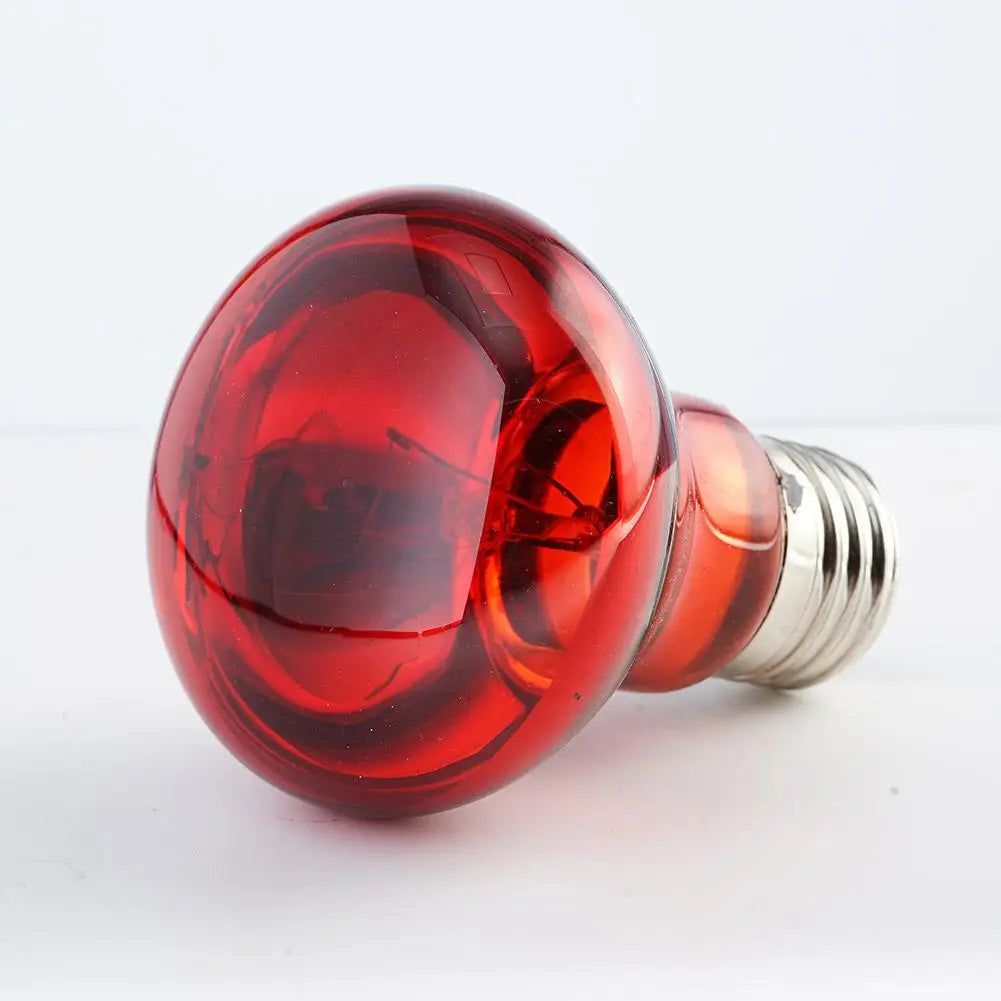 Pet Heating Lamp UVA Day Night Amphibian Amphibian Snake Lamp Heat Reptile Bulb Light Heat Reptile Bulb 25/50/75/100W 220-240V