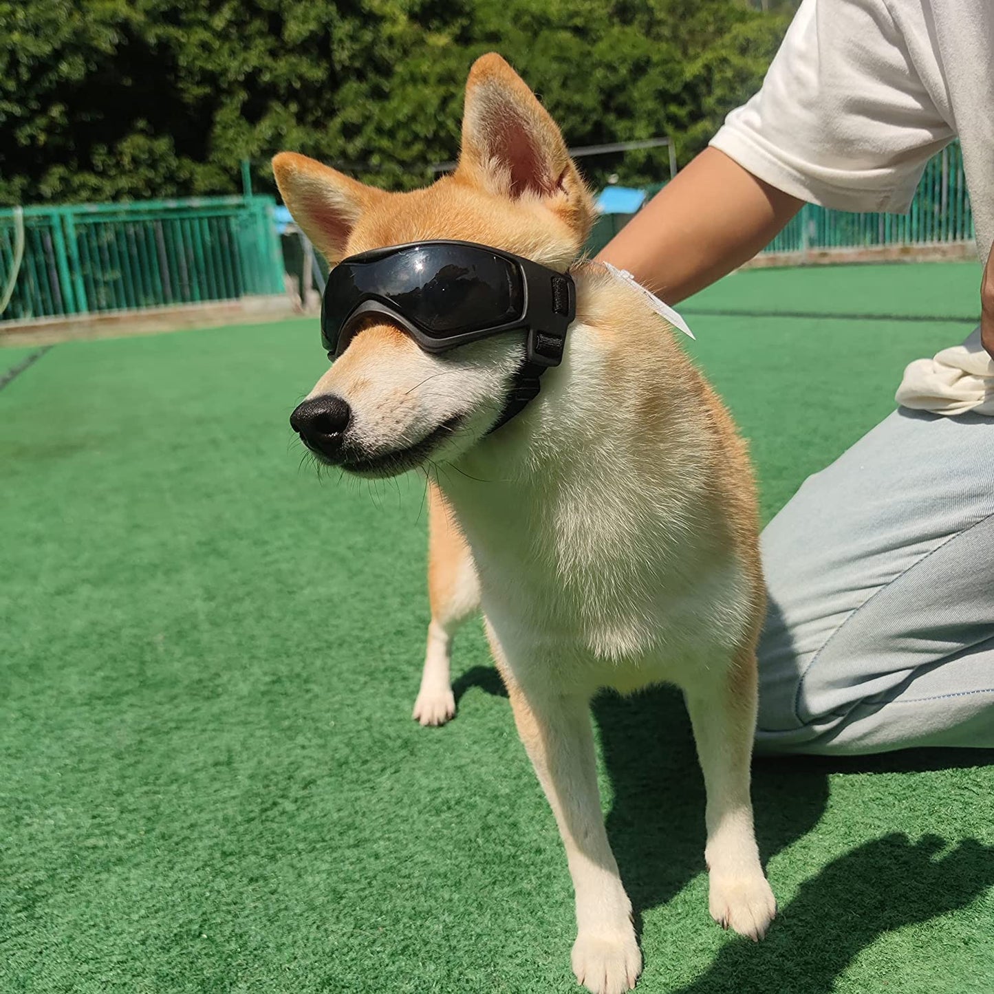 Dog Goggles Small Breed,Easy Wear Small Dog Sunglasses,Adjustable UV Protection Puppy Sunglasses for Small to Medium Dog