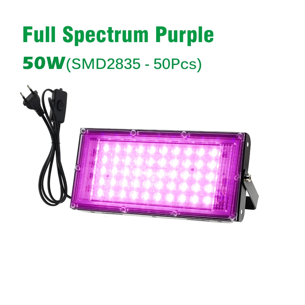 Full Spectrum LED Grow Light 50W 100W Imitated Sunlight Phyto Lamp For Greenhouse Hydroponic Plant Growth Lighting