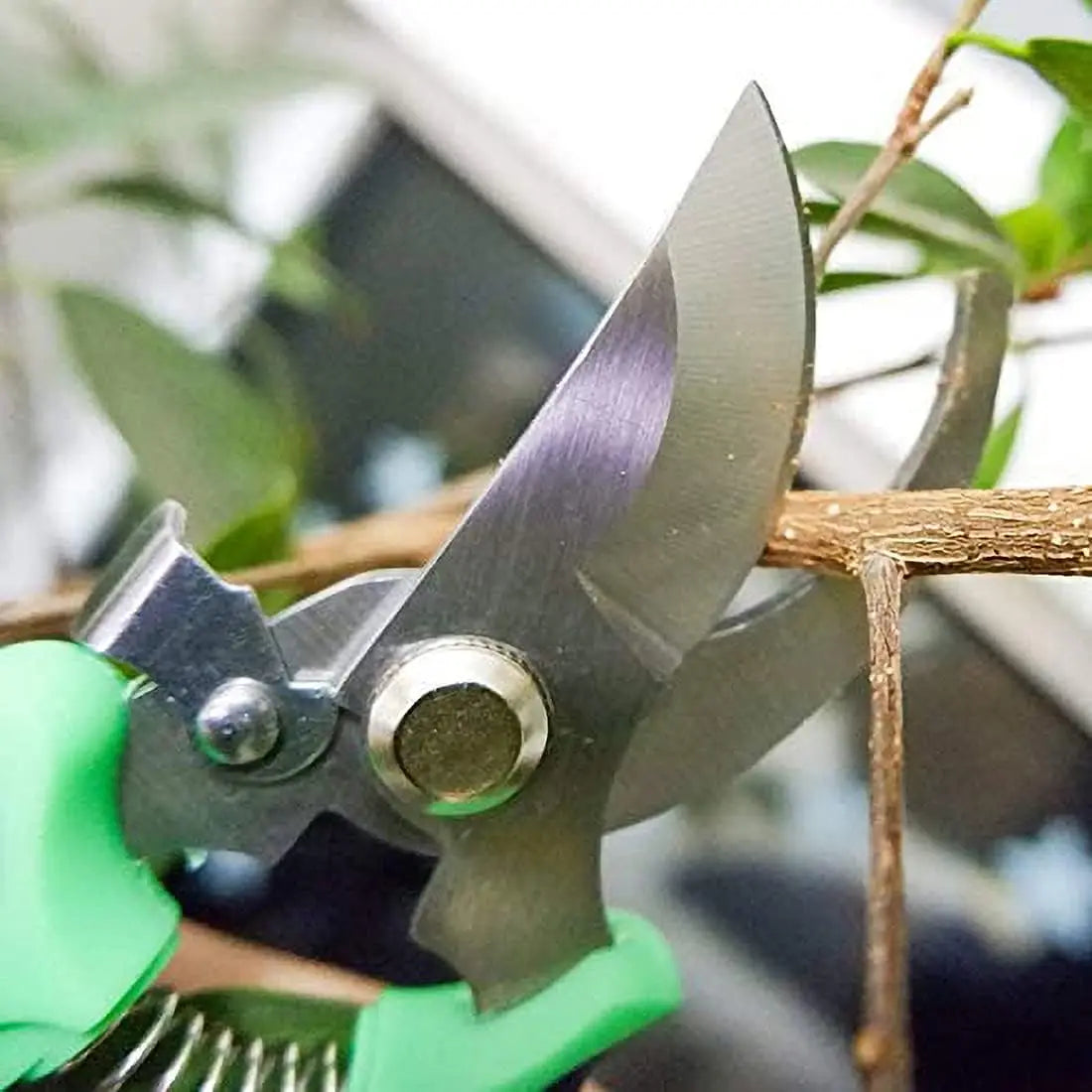 Horticultural Scissors Gardening Shears Professional Pruner Bird Beak Hand Clippers Household Pruning Picking Fruit Tools