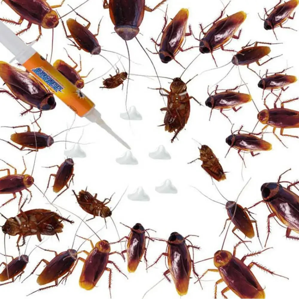 Strong Cockroach Eliminator Kitchen Household Catcher Living Room Toilet Kill Catcher Cockroach Killer Powerful Anti Cockroach