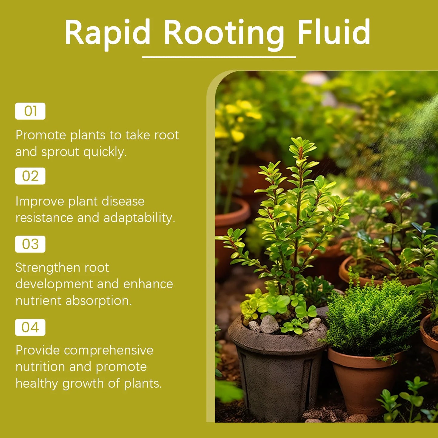 100ml Succulent Root Booster - Rapid Rooting Stimulator, Potted Plant Nutrient Fertilizer for Healthy Root Development