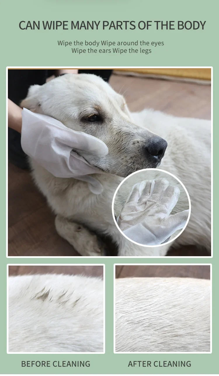 6pcs Pet Disposable Gloves Dog Bath Cleaning Wipes Mild Deodorizing Full Body Special Cleaning Gloves Cat Grooming Supplies