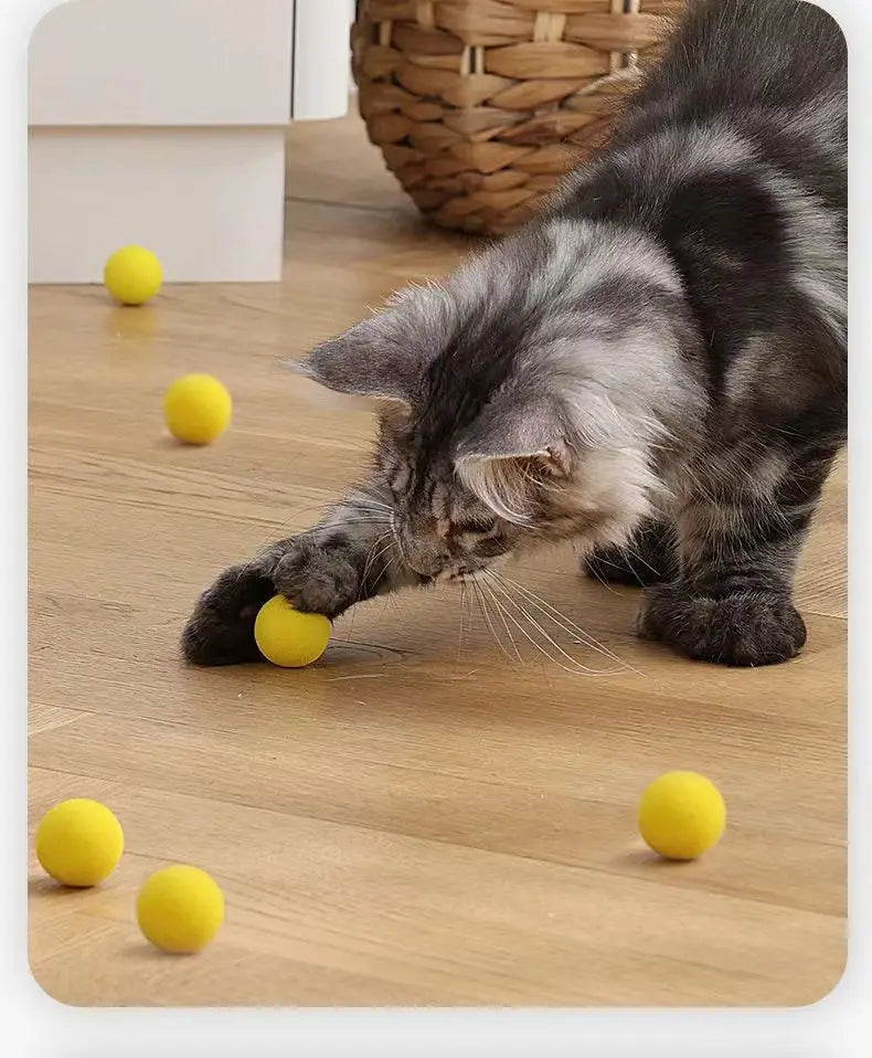 Launch Training Cat Toys Interactive Shooter Gun Teaser Plush Ball Pet Creative Games Stretch Mini Pompoms Kittens Supplies Gato