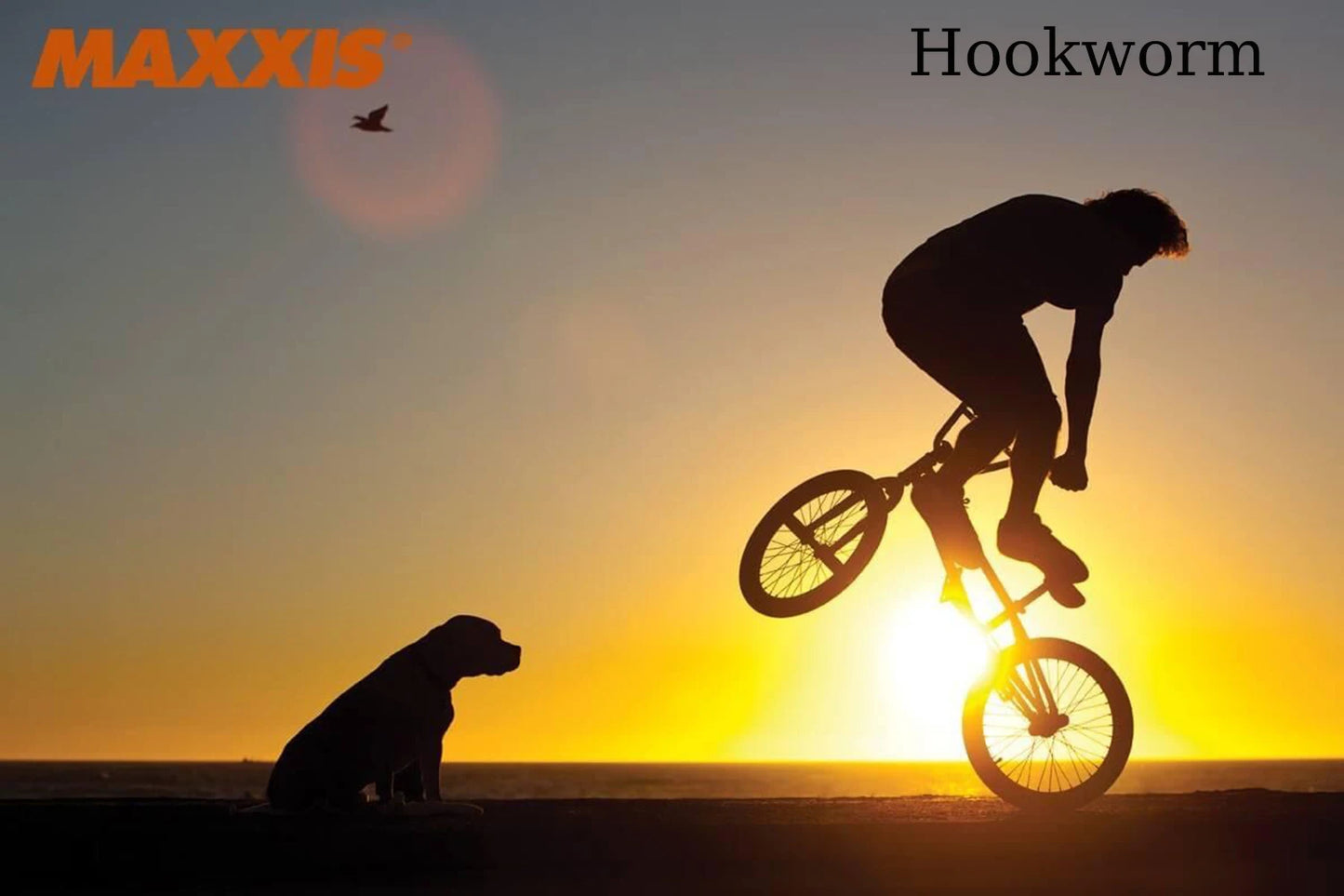 MAXXIS Hookworm 26 x 2.5 Bicycle Tire BMX Wire Bead Clincher Tire for Street Park vert Flatland 20 inch 24 26 27.5 or 29 Sizes