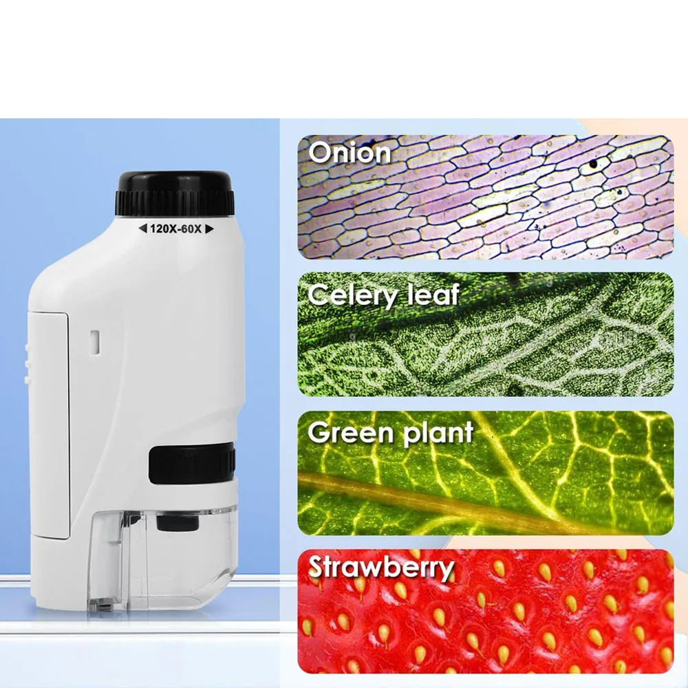 Portable 60X-120X Optical Microscope With LED Light Birthday Gift For Primary And Secondary School Students