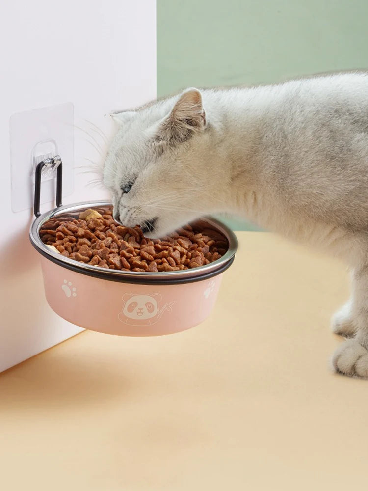 Pet Dog Bowls for Large and Small Dogs Cat Food Water Bowls with Non Slip Rubber Bottom Pet Feeding Bowl Double Wall Insulated