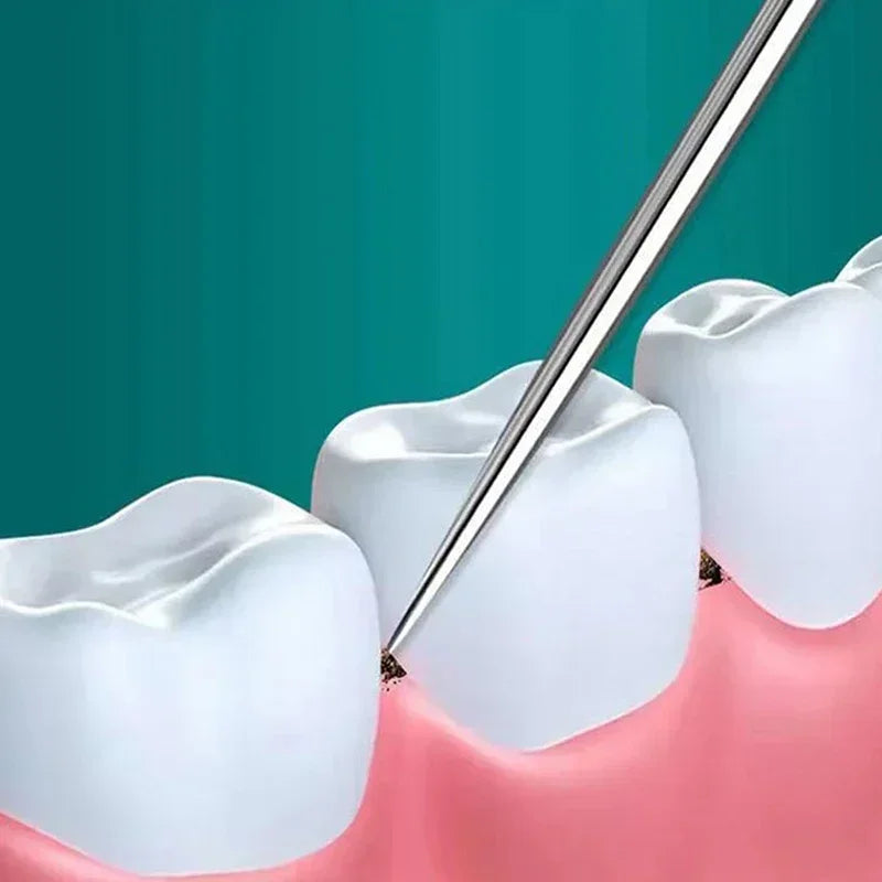 Portable Dental Tool Set Flossing Tooth Picking Tool Metal Stainless Steel Spiral Ear Pick Spoon Kit Oral Hygiene Tartar Removal