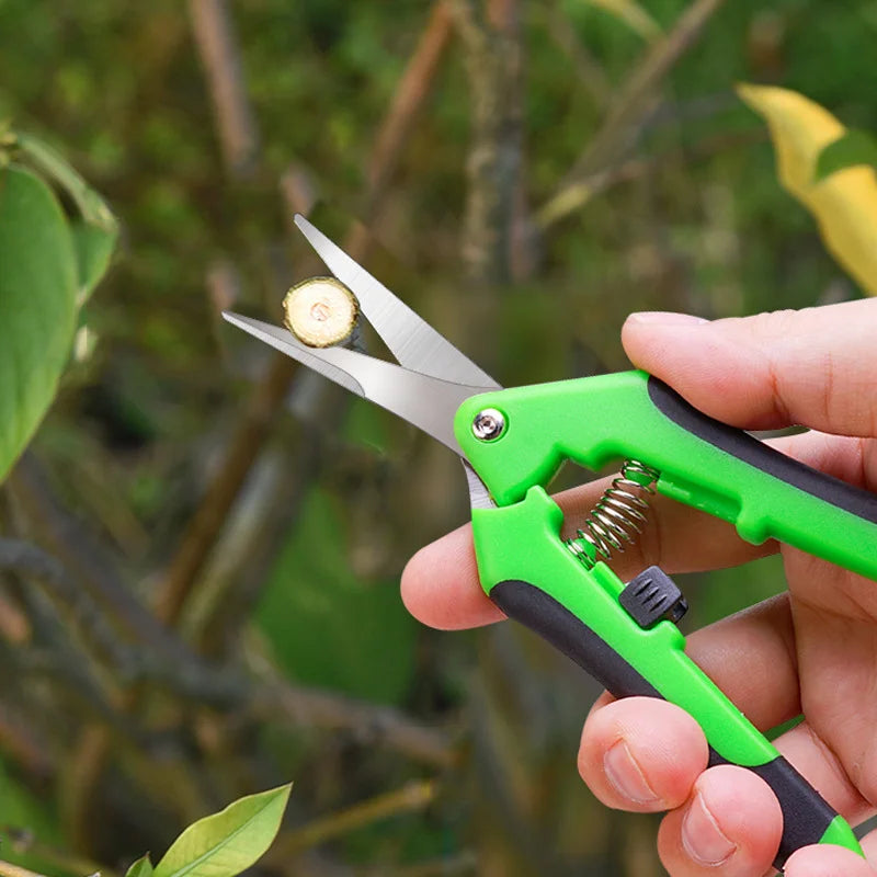 Professional Pruner Garden Scissors Use Gardening Scissors For Trimming Branches Herbs Fruit Picking Home Gardening Tools