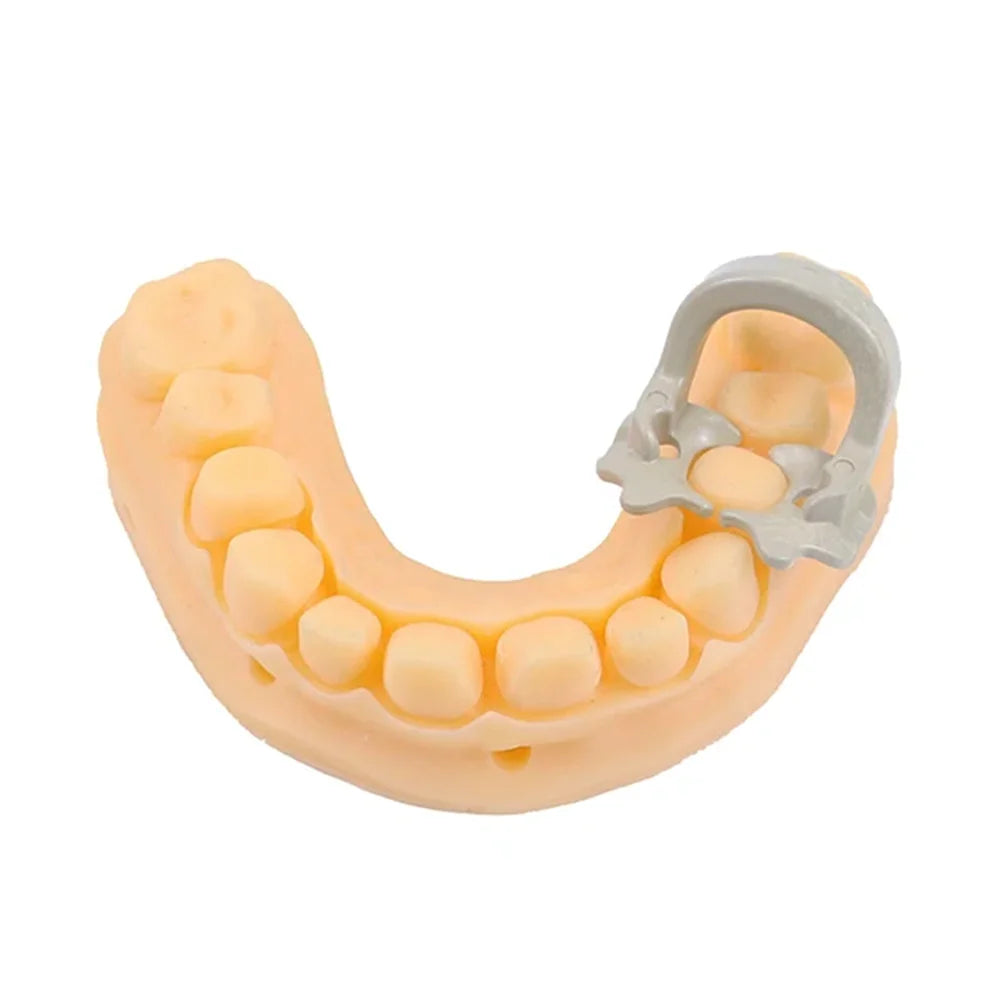 High Quality 4pcs/box Dental Dam Clips Resin Barrier Clamps Rubber Sectional Matrix Band Molar Clips Dental Rubber Dam Clip