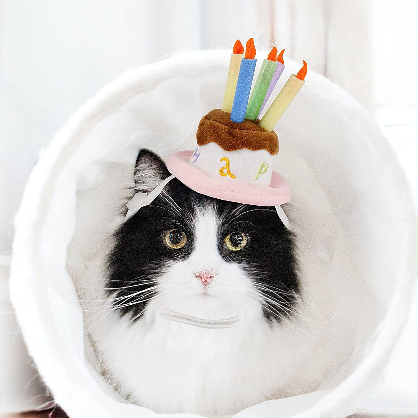 Pet Puppy & Cat Birthday Cake Hat,Holiday Pet Costume Cat Birthday Hat Small Dog Birthday Cake Hat Dog Birthday Party Supplies