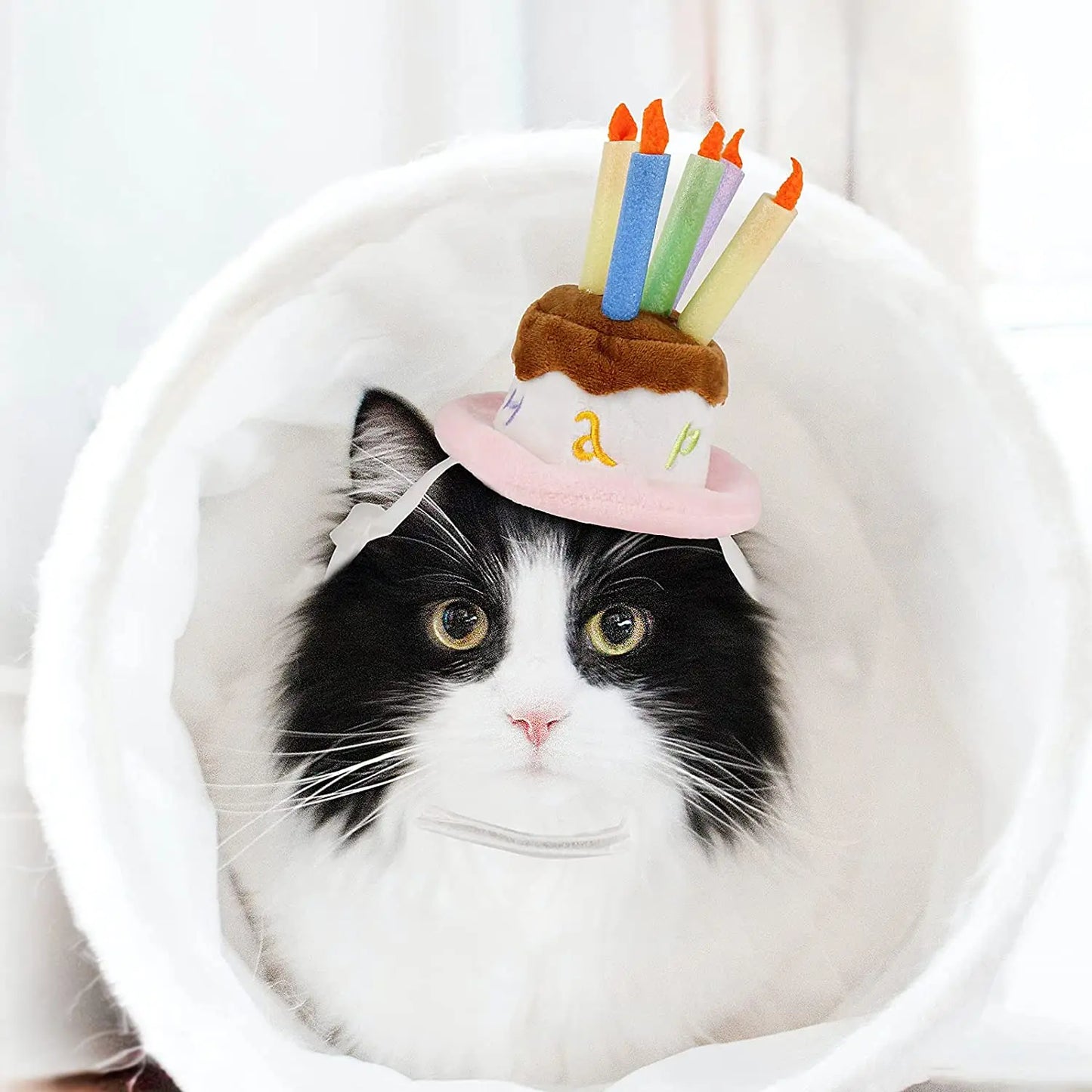 Pet Puppy & Cat Birthday Cake Hat,Holiday Pet Costume Cat Birthday Hat Small Dog Birthday Cake Hat Dog Birthday Party Supplies