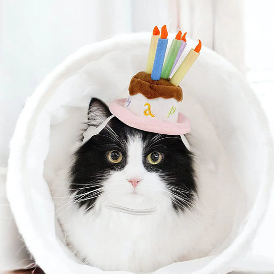 Pet Puppy & Cat Birthday Cake Hat,Holiday Pet Costume Cat Birthday Hat Small Dog Birthday Cake Hat Dog Birthday Party Supplies