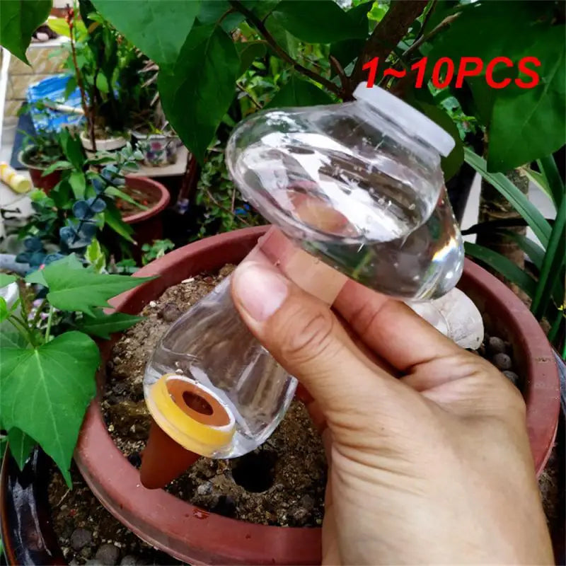 automatic succulent watering Succulent Plants Automatic Flower Watering Device Self Watering Flower – NairoMarket