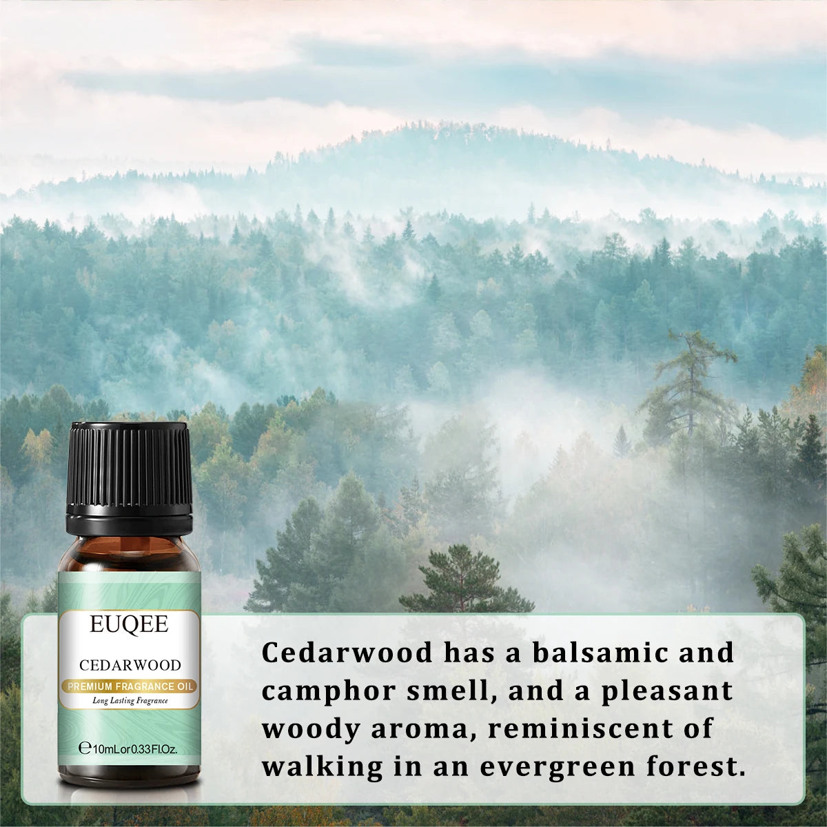 EUQEE 10ML Coconut Vanilla Bubble Gum Fragrance Oil For Making Candle, DIY Soap Coffee Cake Cedarwood Premium Aroma Oils
