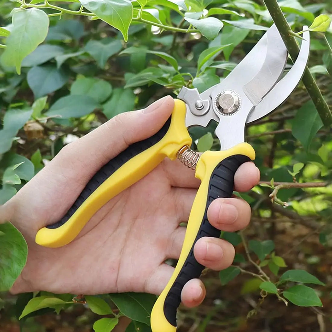 Professional Garden Scissors Stainless Steel Shears Bypass Pruning Tree Thick Branch Trimming Beak Scissors Sharp Hand Pruners