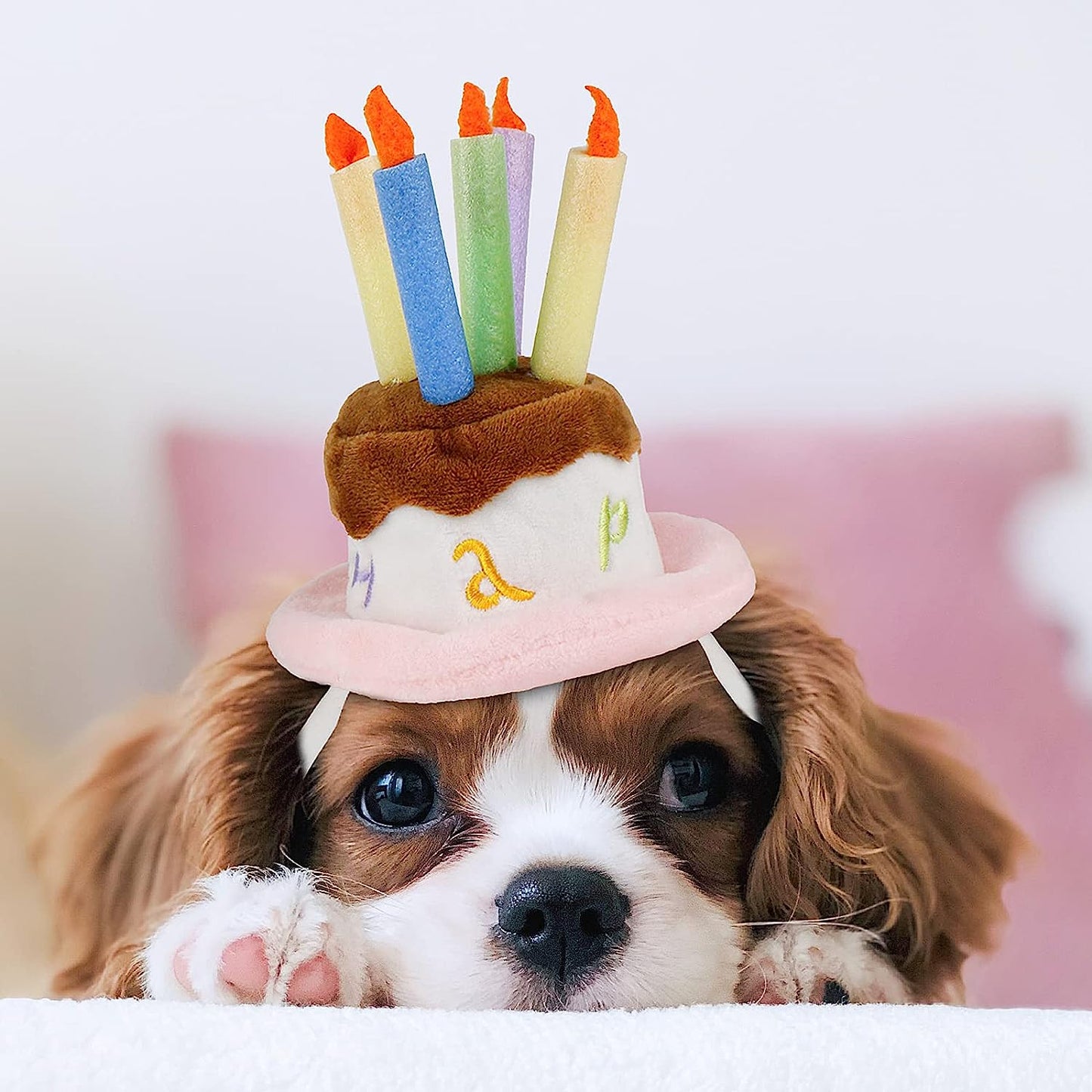 Pet Puppy & Cat Birthday Cake Hat,Holiday Pet Costume Cat Birthday Hat Small Dog Birthday Cake Hat Dog Birthday Party Supplies