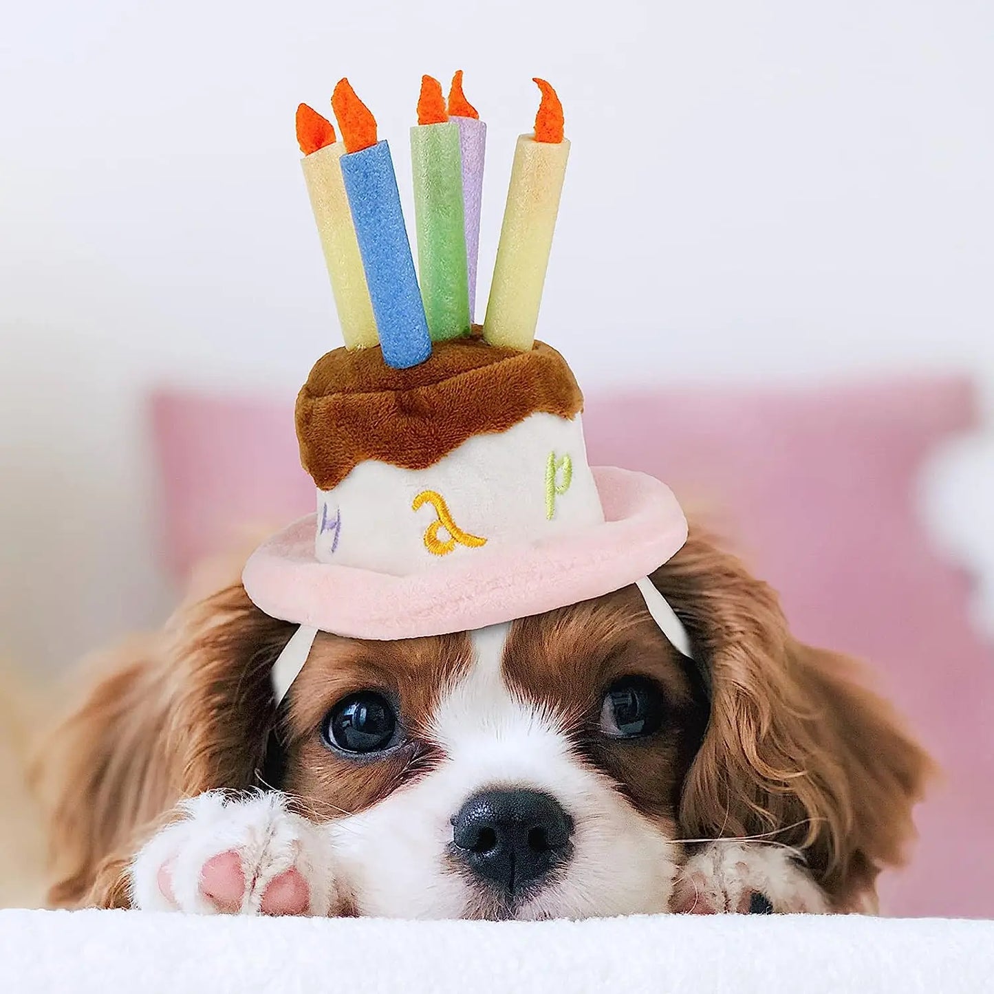 Pet Puppy & Cat Birthday Cake Hat,Holiday Pet Costume Cat Birthday Hat Small Dog Birthday Cake Hat Dog Birthday Party Supplies