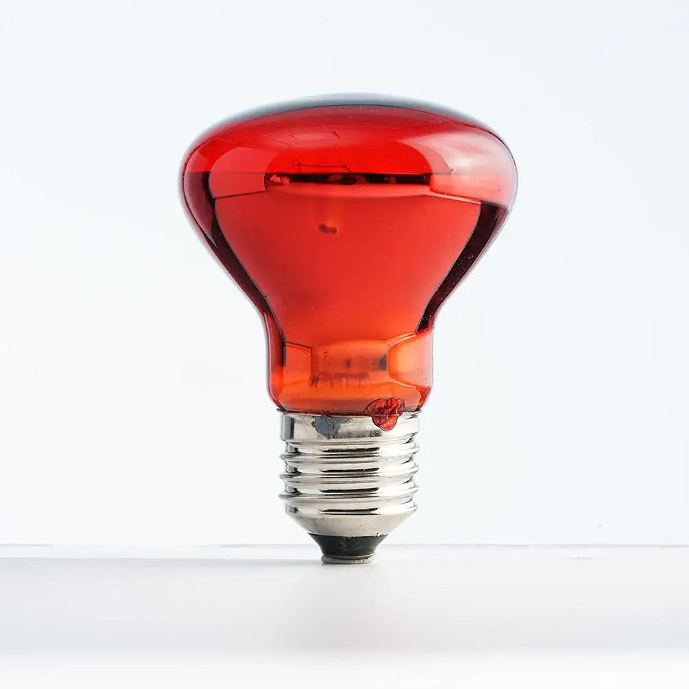 Pet Heating Lamp UVA Day Night Amphibian Amphibian Snake Lamp Heat Reptile Bulb Light Heat Reptile Bulb 25/50/75/100W 220-240V