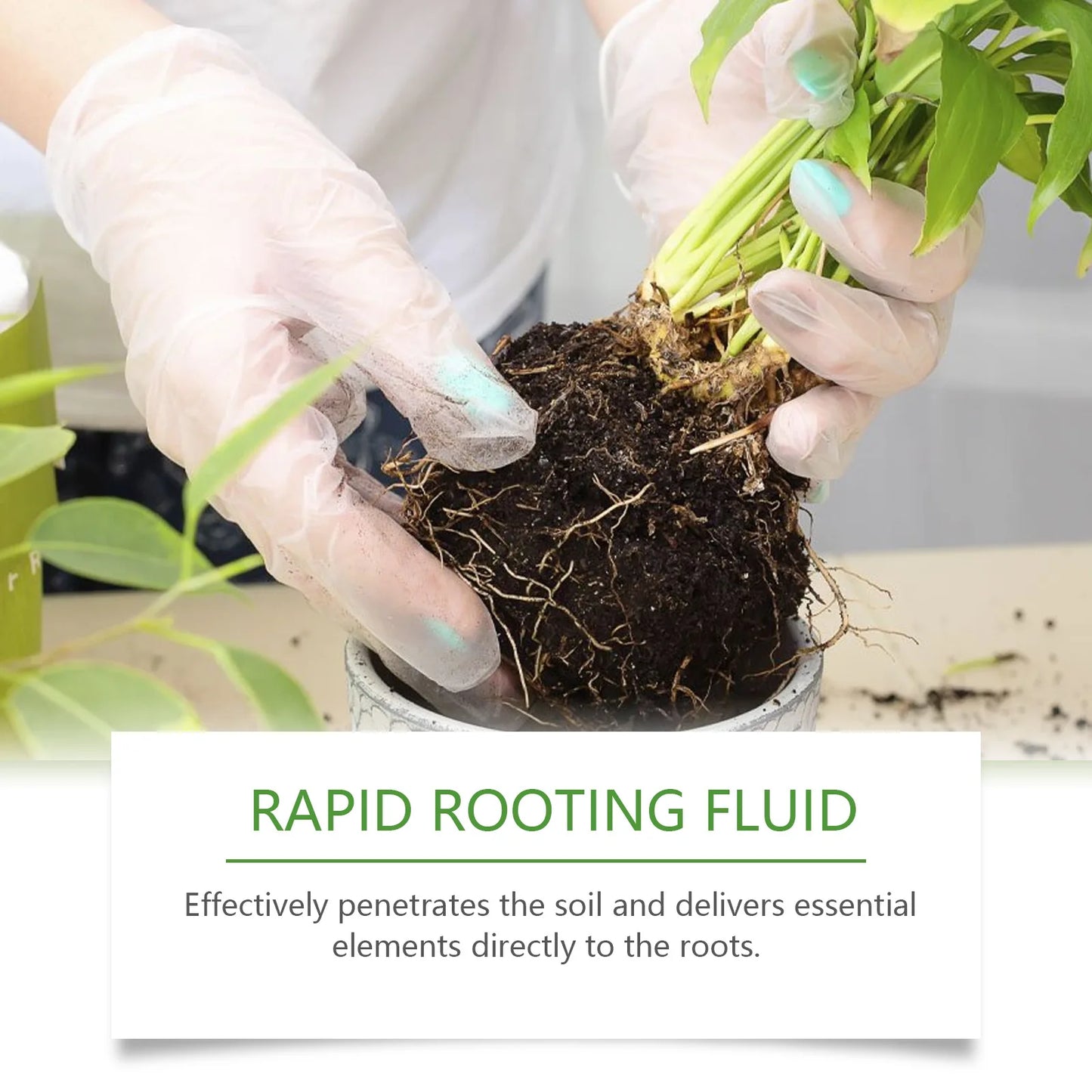 100ml Succulent Root Booster - Rapid Rooting Stimulator, Potted Plant Nutrient Fertilizer for Healthy Root Development