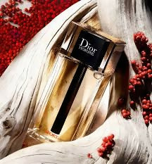 Dior Homme Sport For Men EDT 100Ml