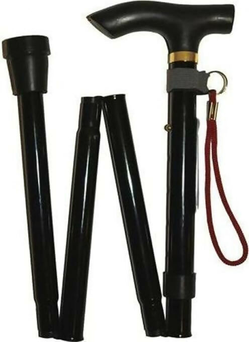 Elderly walking stick with support