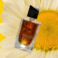 Brand Collection EDP for Women 361 25 ML