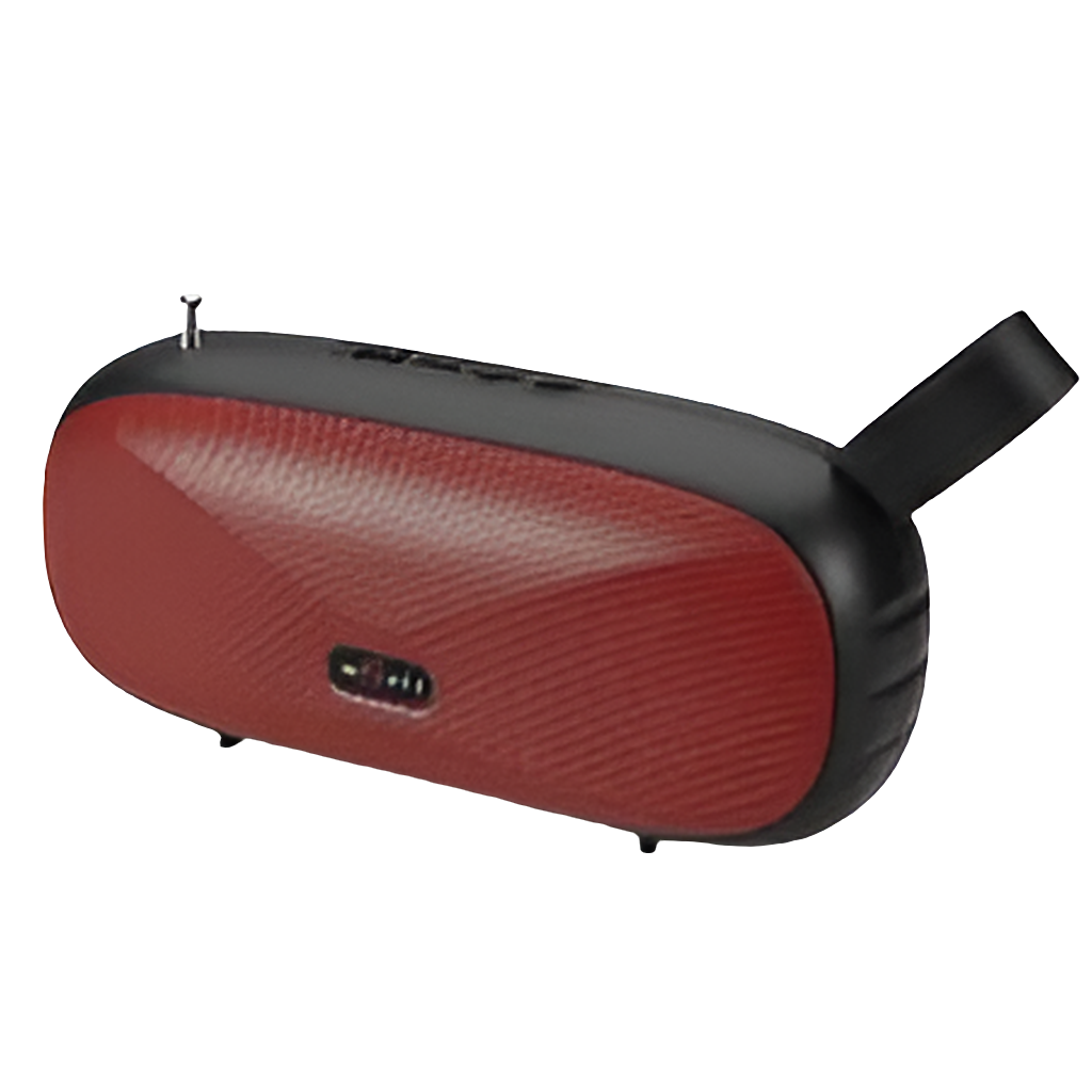 Bluetooth speaker with FM radio F 1066