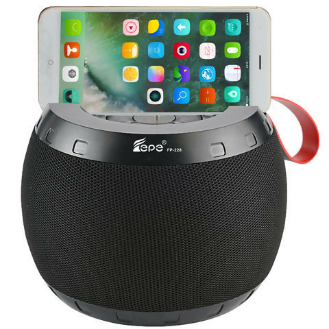 Bluetooth speaker with FM radio FP-228