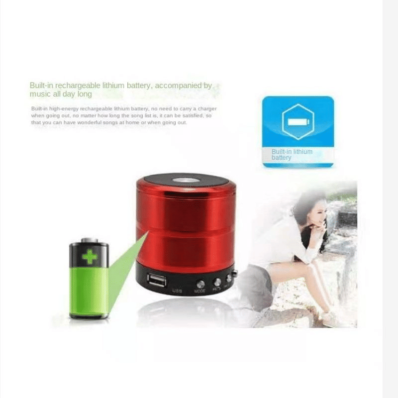 Portable Metallic Mini Bluetooth Speaker, Wireless Hands-Free, USB, FM Radio
