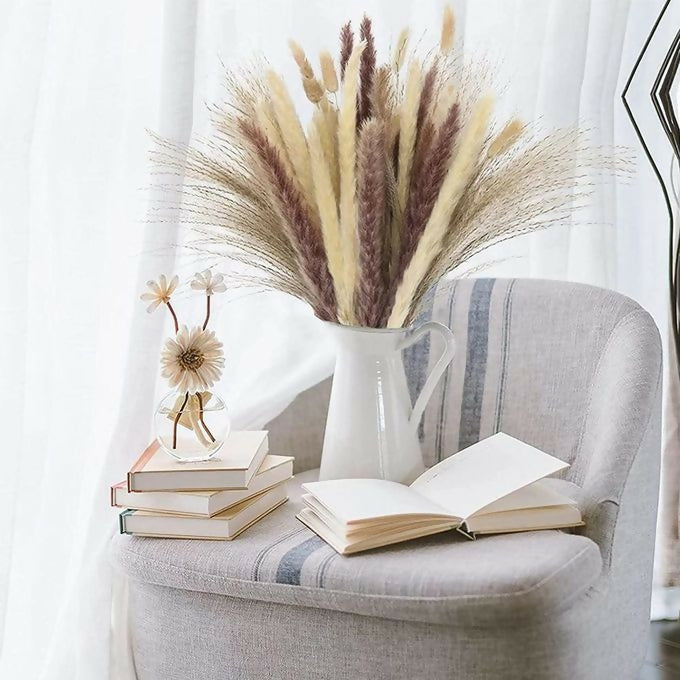 Pampas Grass Dried 1 Stem 1.4M