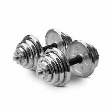 Chrome Dumbells 30kg ( with case)