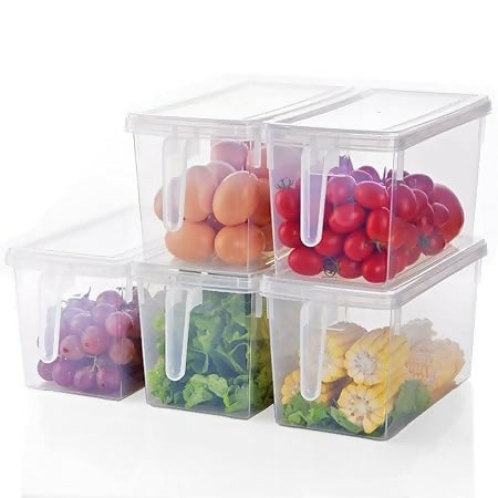 Fridge Storage Container