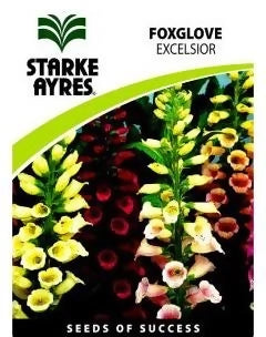 Starke Ayres Summer Foxglove Foxy Flower Packets 15g