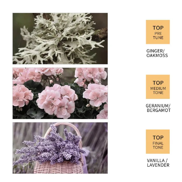 SADOER Ginger Hair Care 4-Piece Set: Deep Nourishment for Elastic, Shiny Hair