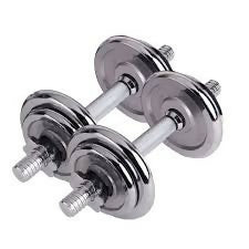 Chrome Dumbells 20kg (with case)