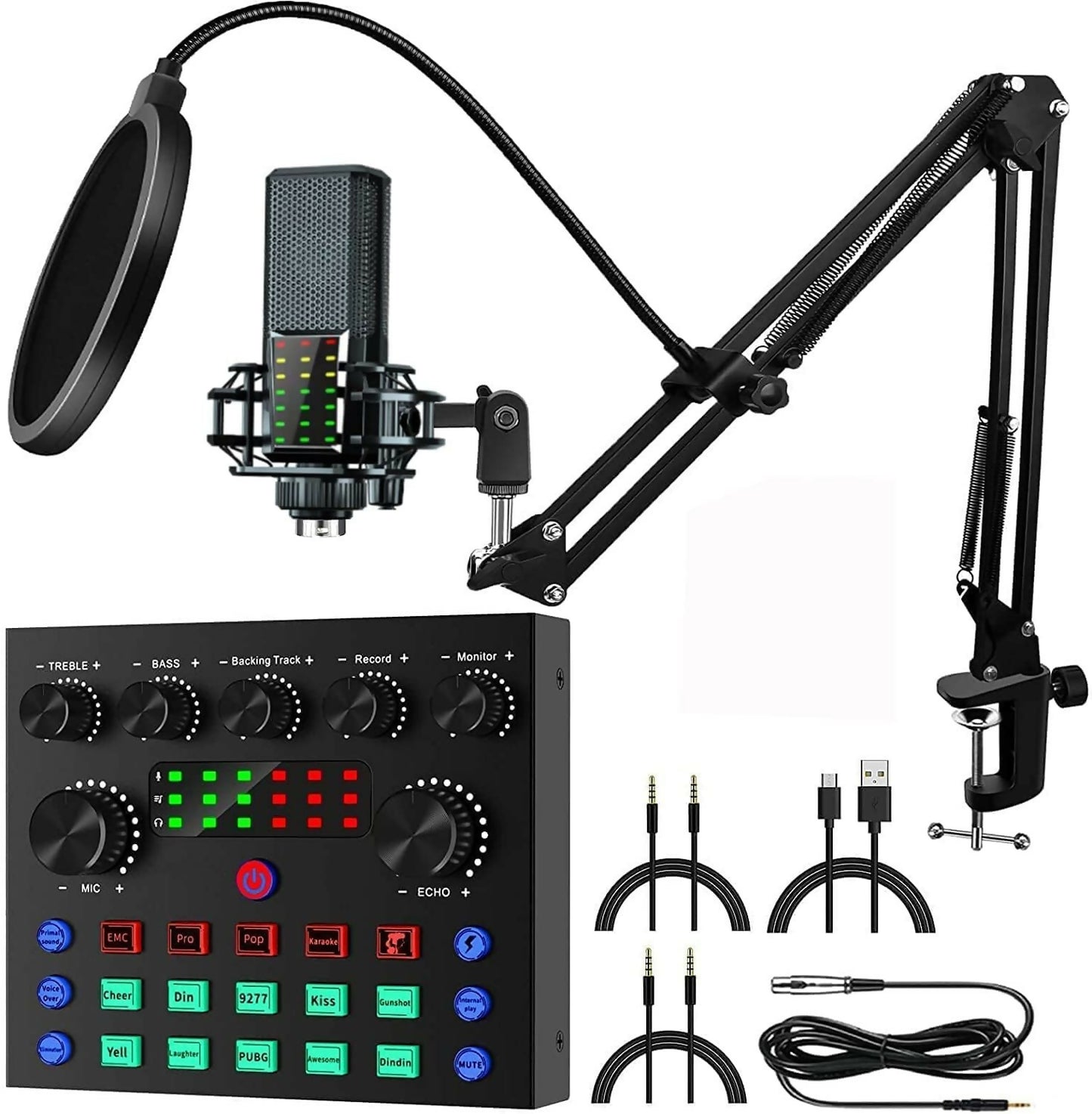 BM800 Condenser Microphone with V8 sound card