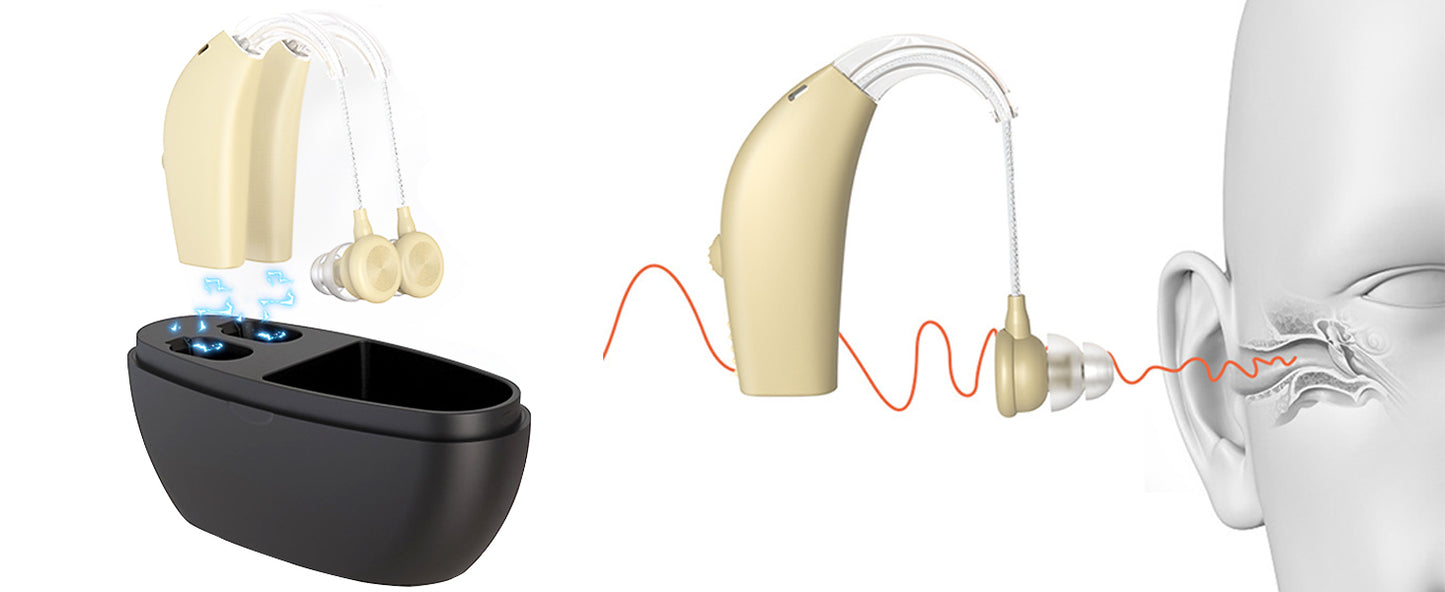 Hearing aid, rechargeable for seniors, noise reduction, 5-level volume adjustment, clear sound, with charging case