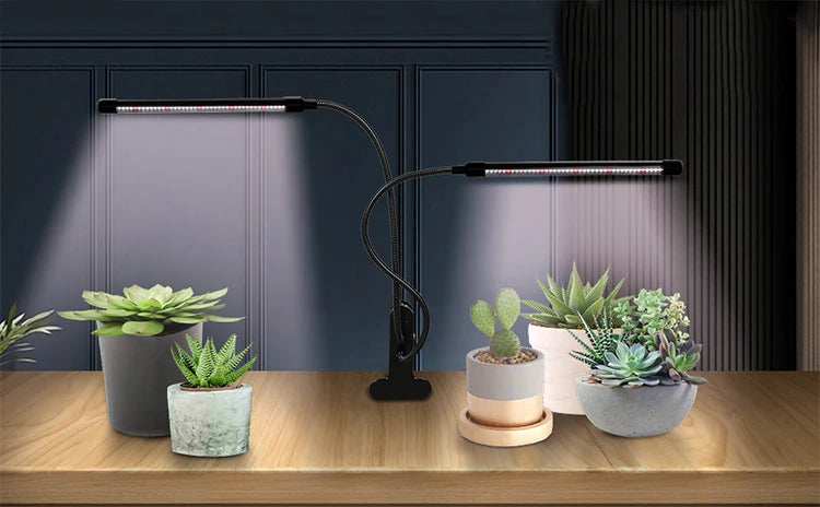 Desk LED Grow Light Plant Lights for Indoor Plants,Full Spectrum With Clip Plant Growing Lamp for Seed Start,Auto On Off Timing