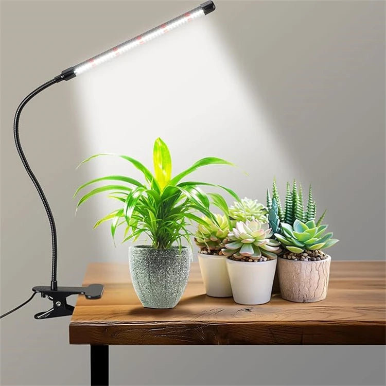 Desk LED Grow Light Plant Lights for Indoor Plants,Full Spectrum With Clip Plant Growing Lamp for Seed Start,Auto On Off Timing