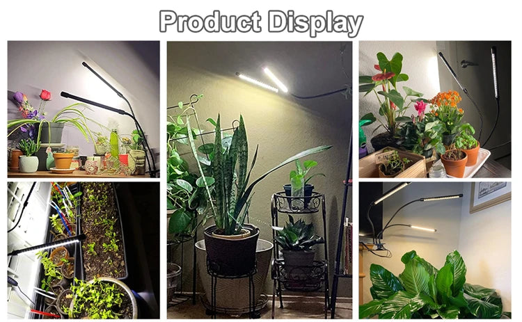 Desk LED Grow Light Plant Lights for Indoor Plants,Full Spectrum With Clip Plant Growing Lamp for Seed Start,Auto On Off Timing