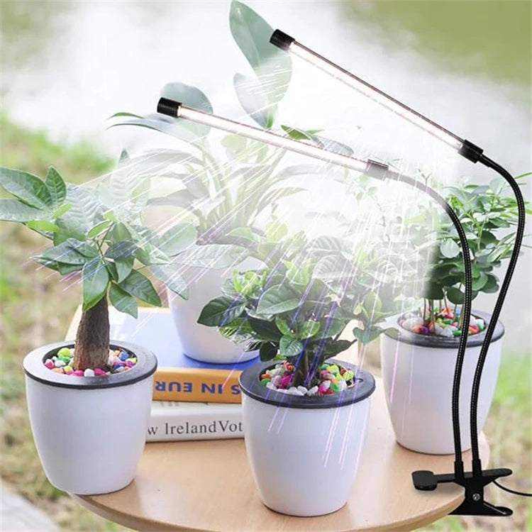 Desk LED Grow Light Plant Lights for Indoor Plants,Full Spectrum With Clip Plant Growing Lamp for Seed Start,Auto On Off Timing